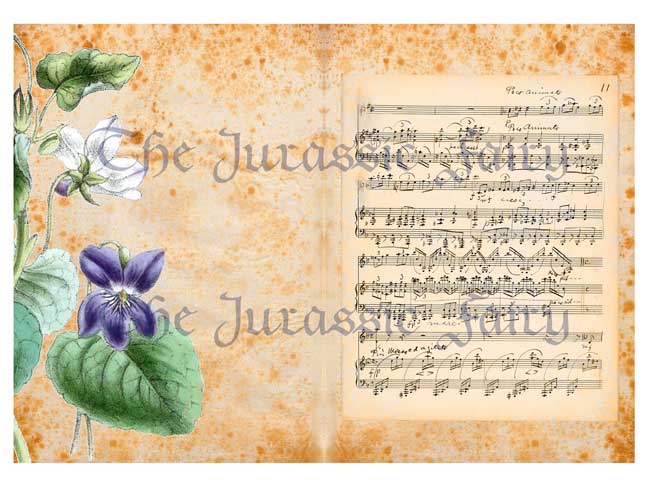 Gilded Age Flowers and Music Sheet
